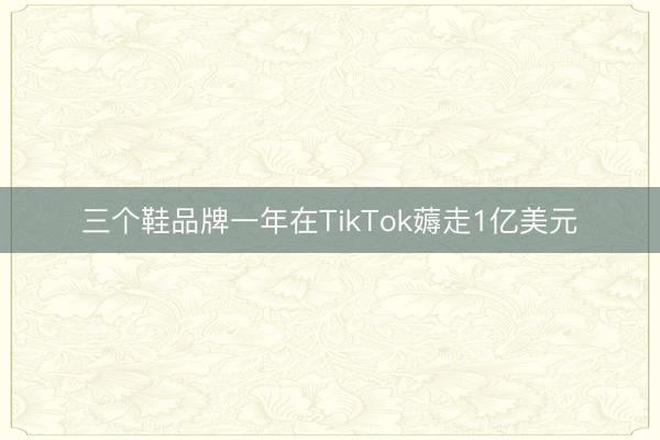 三个鞋品牌一年在TikTok薅走1亿美元