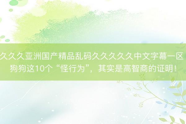 久久久亚洲国产精品乱码久久久久久中文字幕一区 狗狗这10个 “怪行为”，其实是高智商的证明！