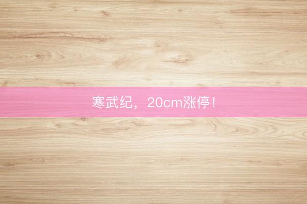 寒武纪，20cm涨停！