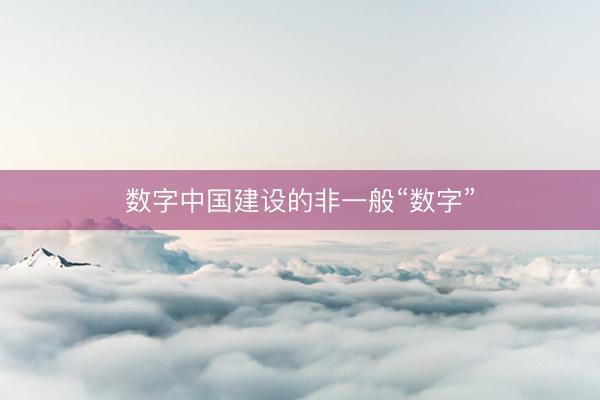数字中国建设的非一般“数字”