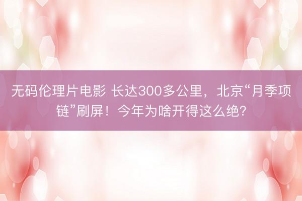 无码伦理片电影 长达300多公里，北京“月季项链”刷屏！今年为啥开得这么绝？