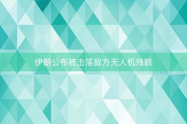 伊朗公布被击落敌方无人机残骸