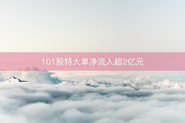 101股特大单净流入超2亿元