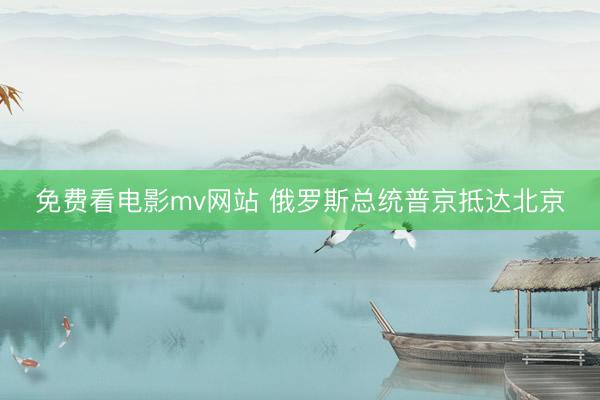 免费看电影mv网站 俄罗斯总统普京抵达北京