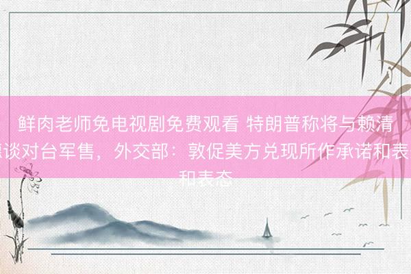 鲜肉老师免电视剧免费观看 特朗普称将与赖清德谈对台军售，外交部：敦促美方兑现所作承诺和表态