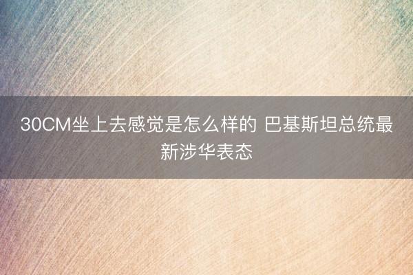30CM坐上去感觉是怎么样的 巴基斯坦总统最新涉华表态