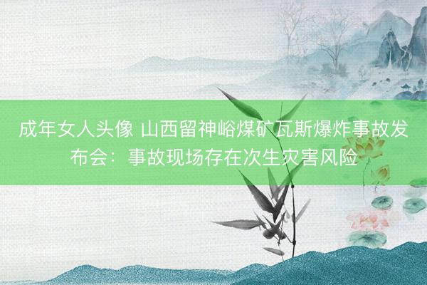 成年女人头像 山西留神峪煤矿瓦斯爆炸事故发布会：事故现场存在次生灾害风险