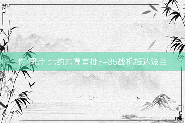 性 图片 北约东翼首批F-35战机抵达波兰