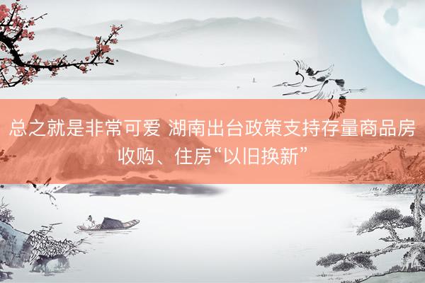 总之就是非常可爱 湖南出台政策支持存量商品房收购、住房“以旧换新”