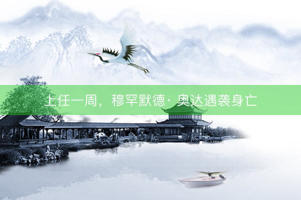 上任一周，穆罕默德· 奥达遇袭身亡
