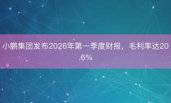 小鹏集团发布2026年第一季度财报，毛利率达20.6%