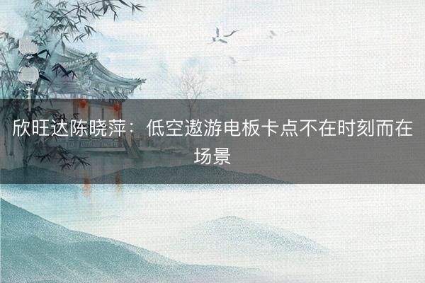 欣旺达陈晓萍：低空遨游电板卡点不在时刻而在场景