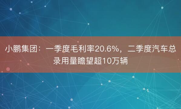 小鹏集团：一季度毛利率20.6%，二季度汽车总录用量瞻望超10万辆