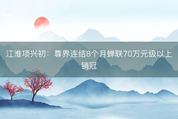 江淮项兴初：尊界连结8个月蝉联70万元级以上销冠