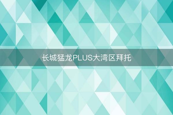 长城猛龙PLUS大湾区拜托
