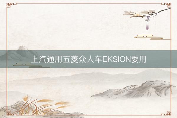 上汽通用五菱众人车EKSION委用