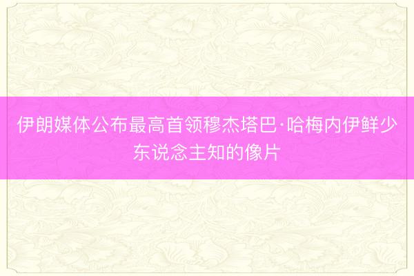 伊朗媒体公布最高首领穆杰塔巴·哈梅内伊鲜少东说念主知的像片