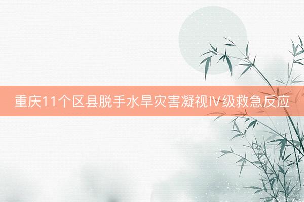重庆11个区县脱手水旱灾害凝视Ⅳ级救急反应