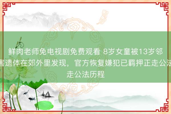 鲜肉老师免电视剧免费观看 8岁女童被13岁邻居杀害遗体在郊外里发现，官方恢复嫌犯已羁押正走公法历程