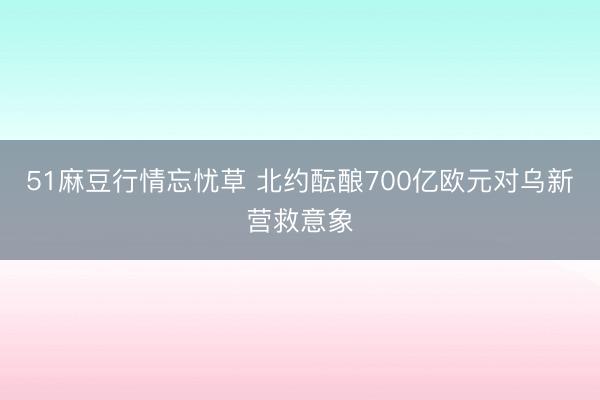 51麻豆行情忘忧草 北约酝酿700亿欧元对乌新营救意象