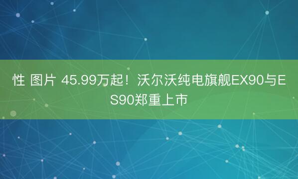 性 图片 45.99万起！沃尔沃纯电旗舰EX90与ES90郑重上市