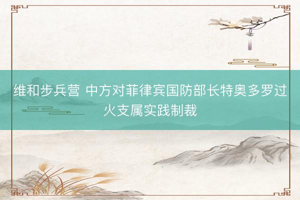 维和步兵营 中方对菲律宾国防部长特奥多罗过火支属实践制裁