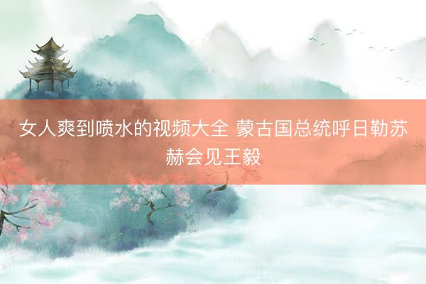 女人爽到喷水的视频大全 蒙古国总统呼日勒苏赫会见王毅