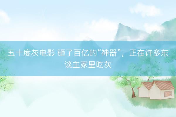 五十度灰电影 砸了百亿的“神器”，正在许多东谈主家里吃灰