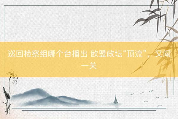 巡回检察组哪个台播出 欧盟政坛“顶流”，又闯一关