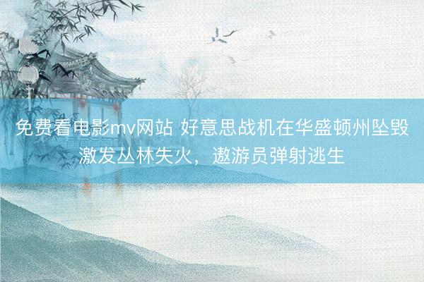 免费看电影mv网站 好意思战机在华盛顿州坠毁激发丛林失火，遨游员弹射逃生