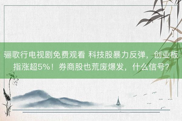 骊歌行电视剧免费观看 科技股暴力反弹，创业板指涨超5%！券商股也荒废爆发，什么信号？
