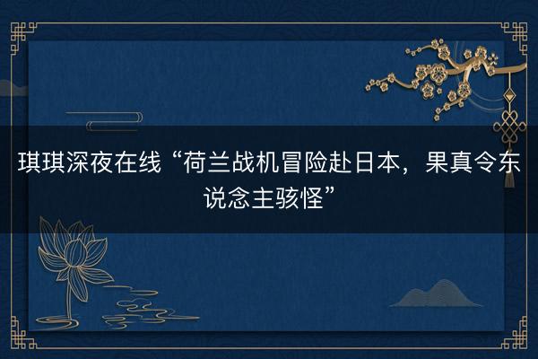 琪琪深夜在线 “荷兰战机冒险赴日本,果真令东说念主骇怪”